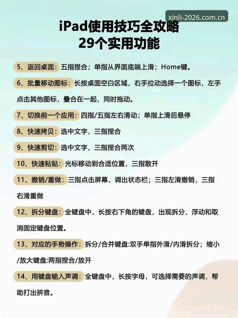 资深用户分享：新利体育电脑版使用心得，从入门到精通全攻略